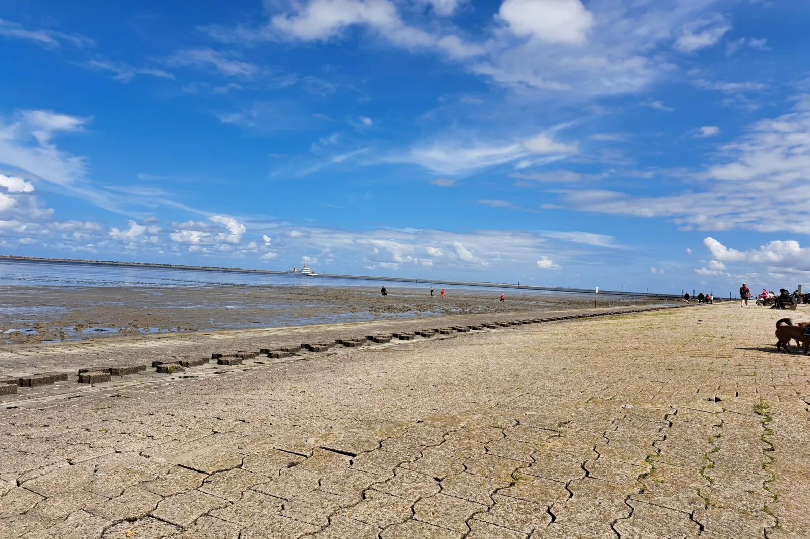 Ferienhaus 06 Marintje-Areas within 5km in summer