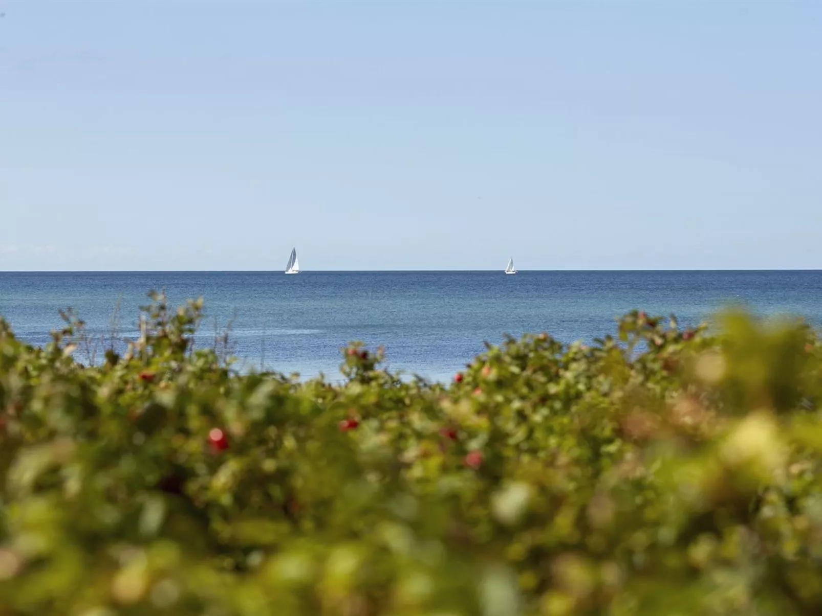 "Andy" - 150m from the sea-Dehors