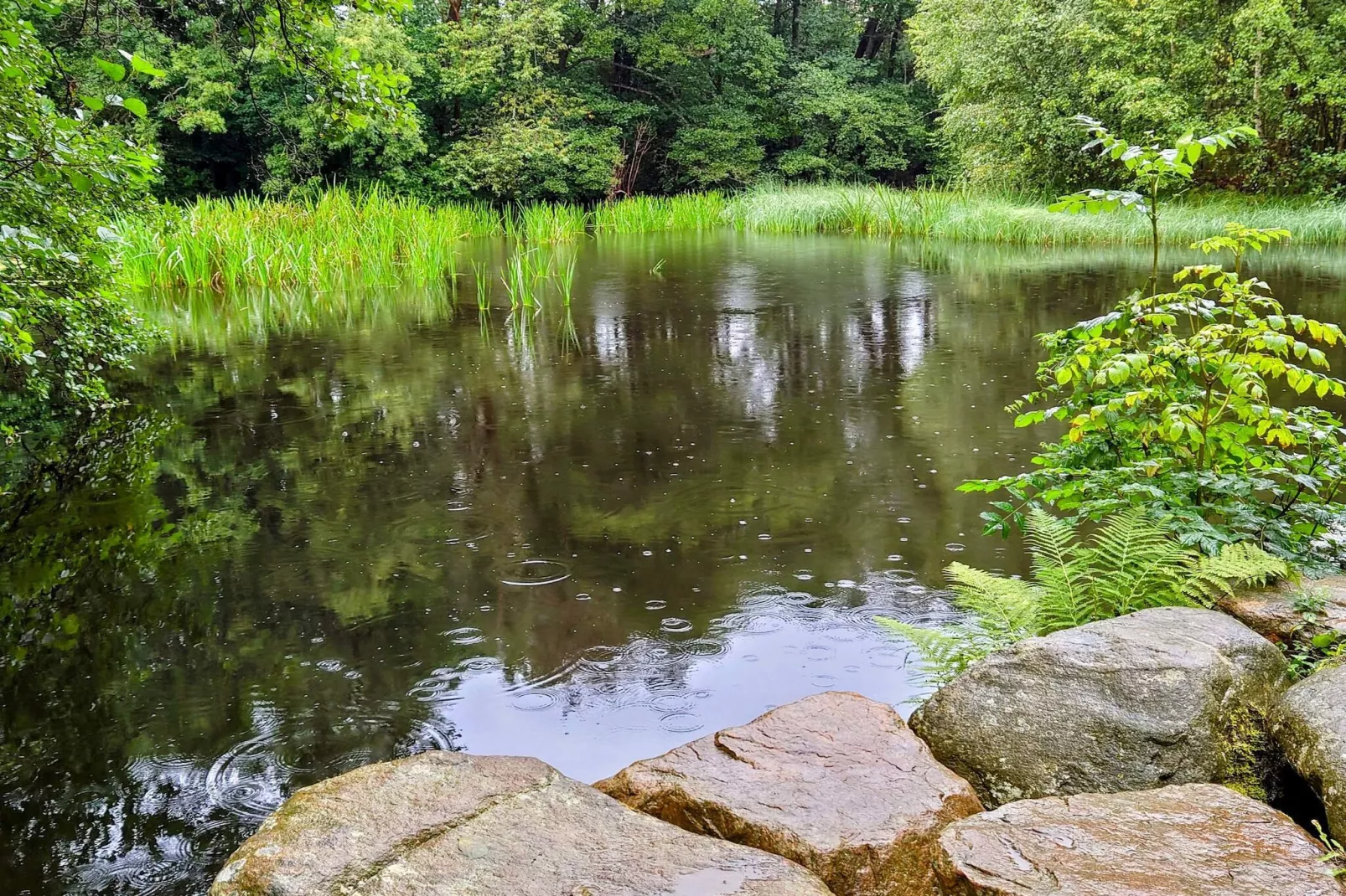 4 star holiday home in MUNKA-LJUNGBY-Water view