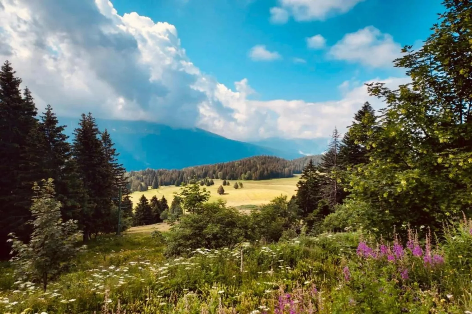 LE VERNON N°1222 - ST4-Areas within 5km in summer