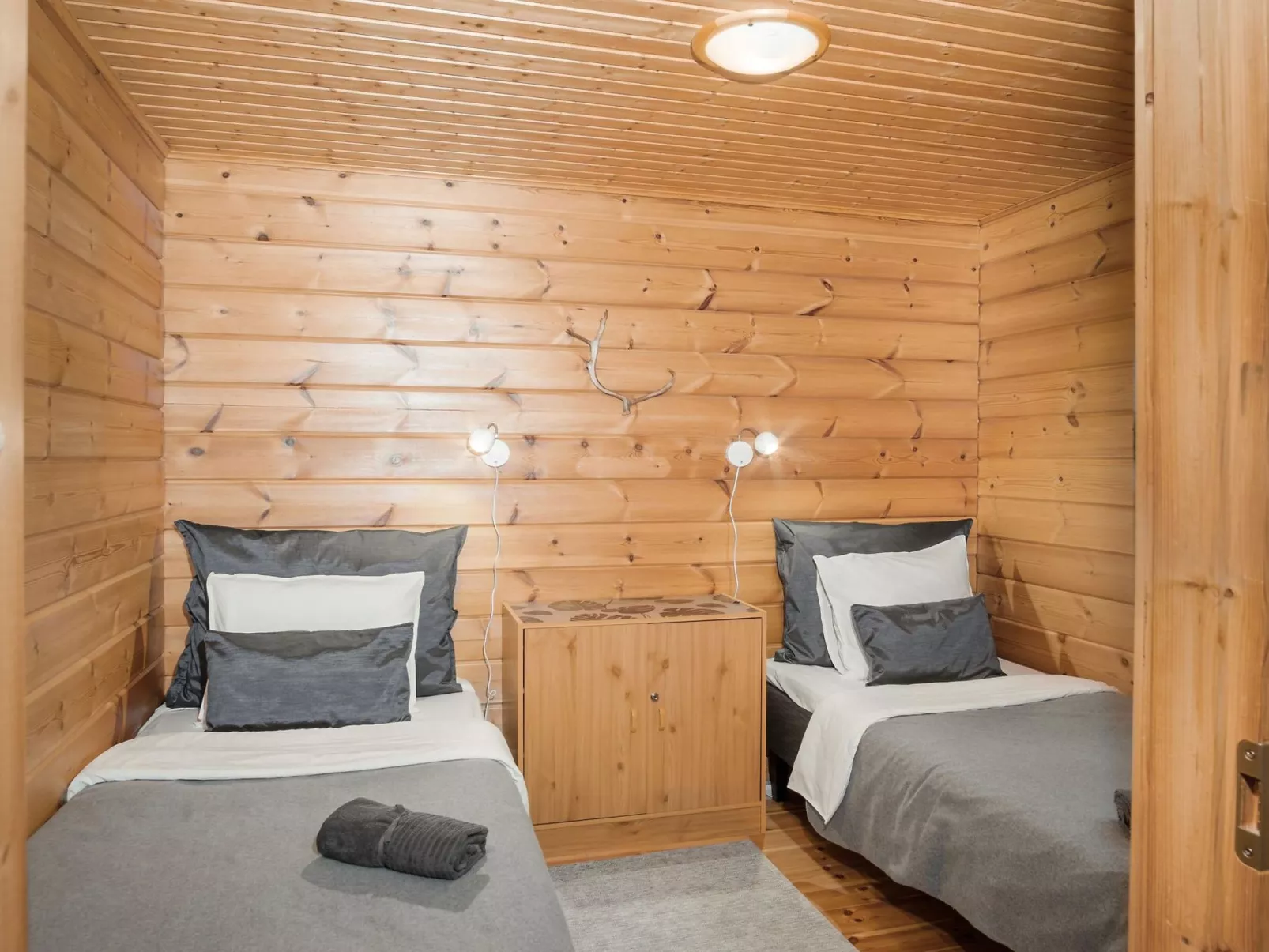 Kevätruska b-Dedans