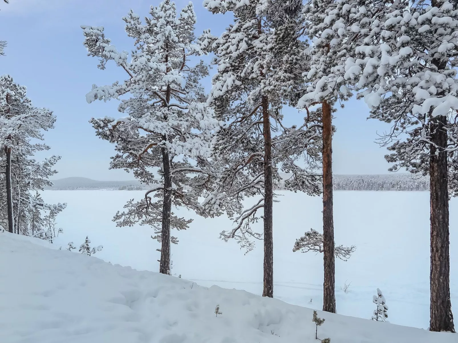 Lemmenliekki 2-Drinnen