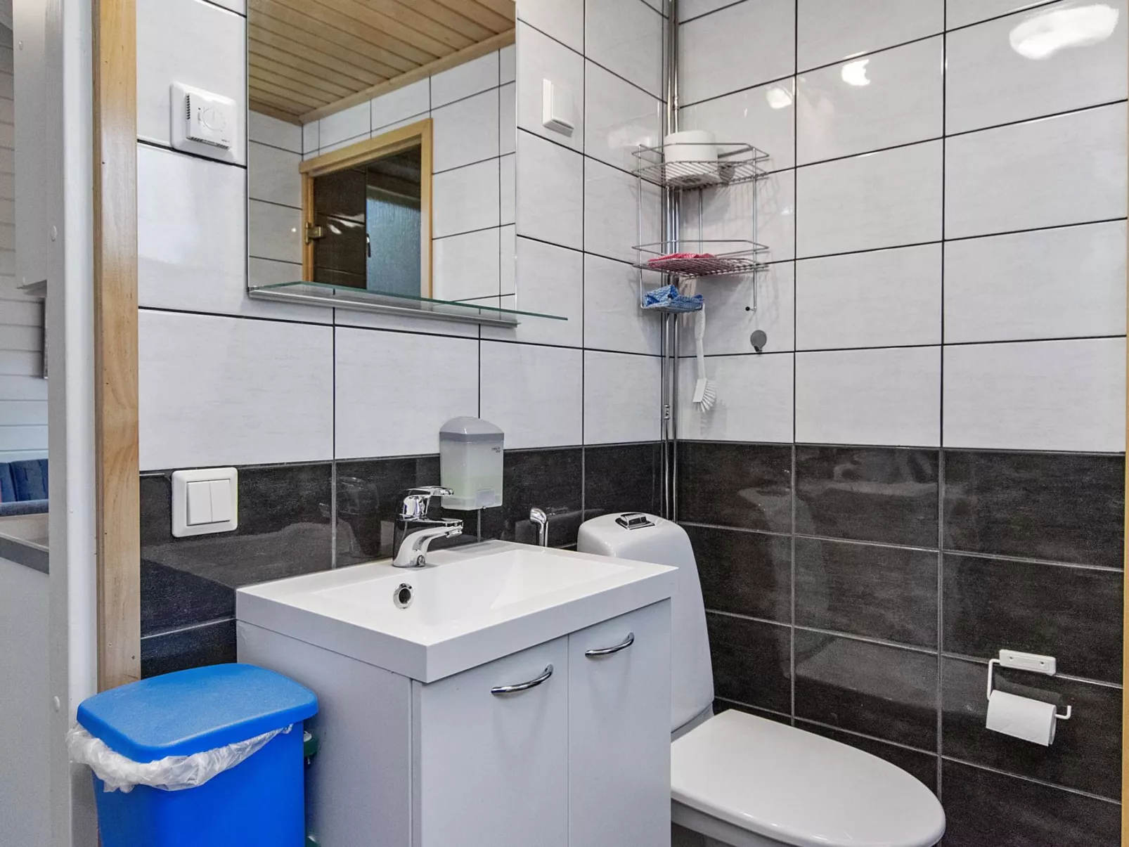 Tunturikoivu a2-Inside