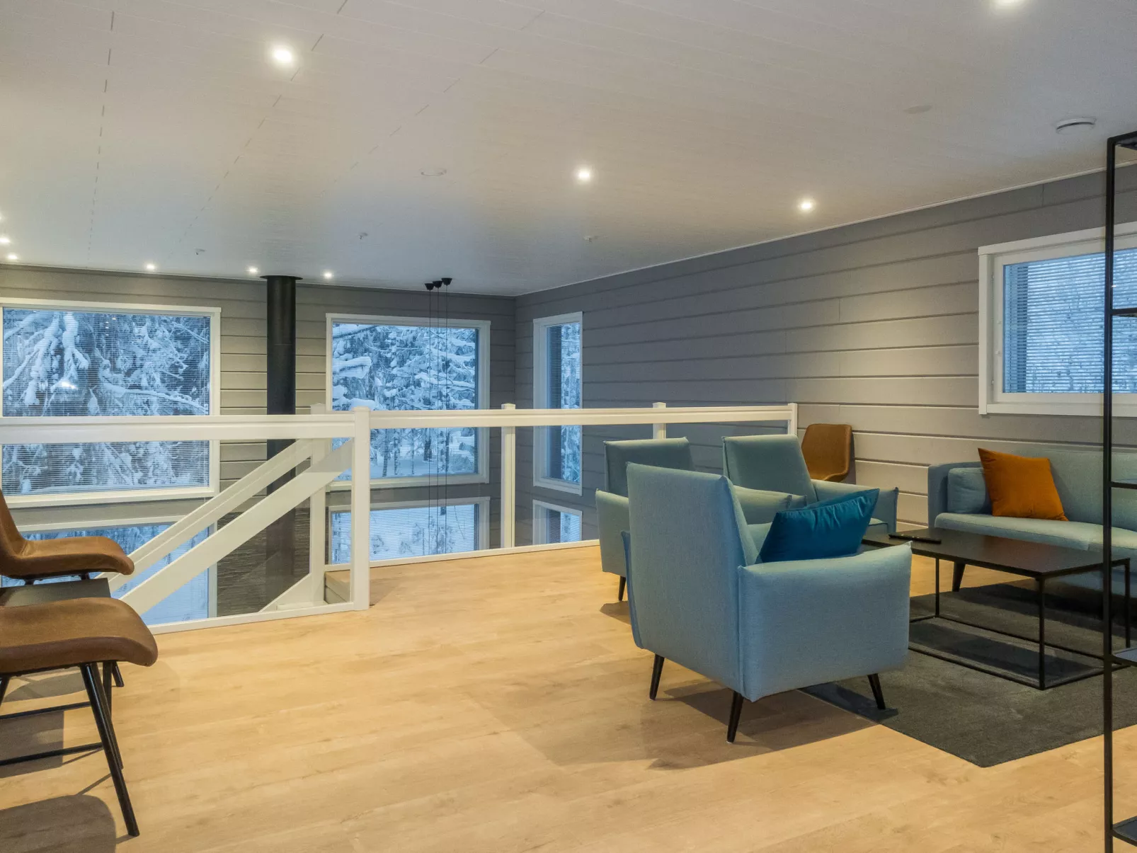 Levin hiihtäjä-Drinnen