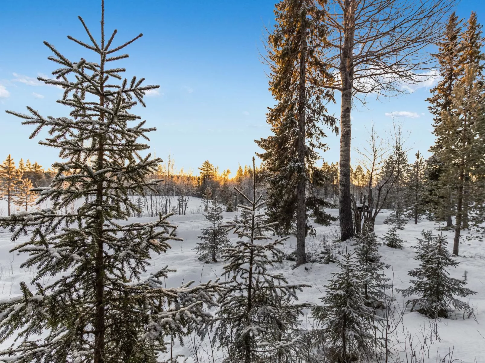 Tunturinvieri l1-Dedans