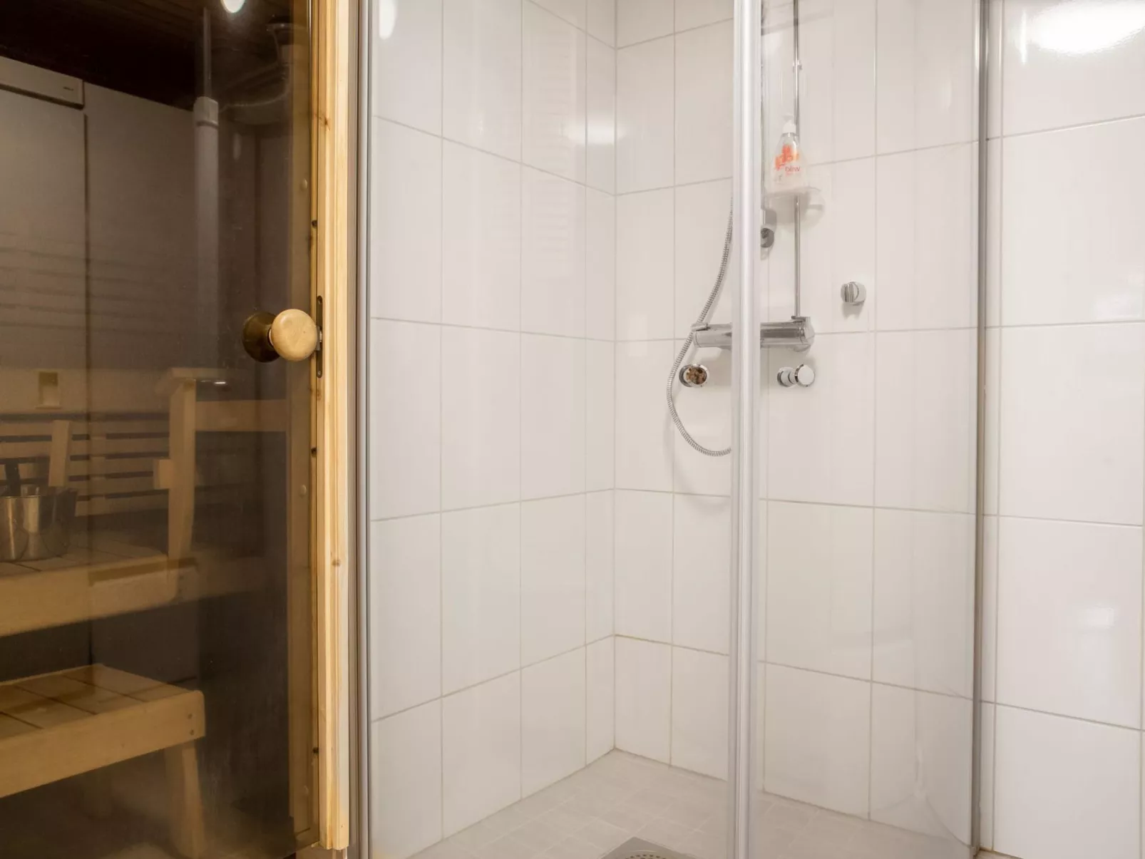 Lomaylläs h113/pistopolku 5a-Dedans