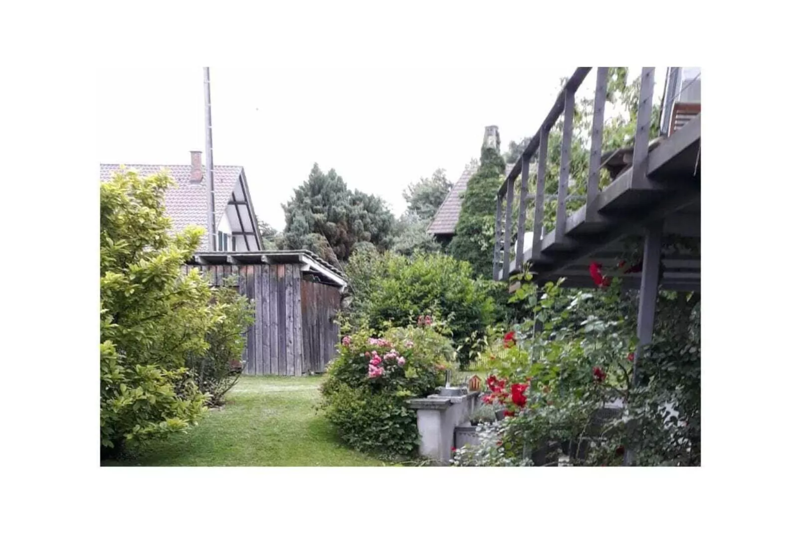 310062-Jardins en été