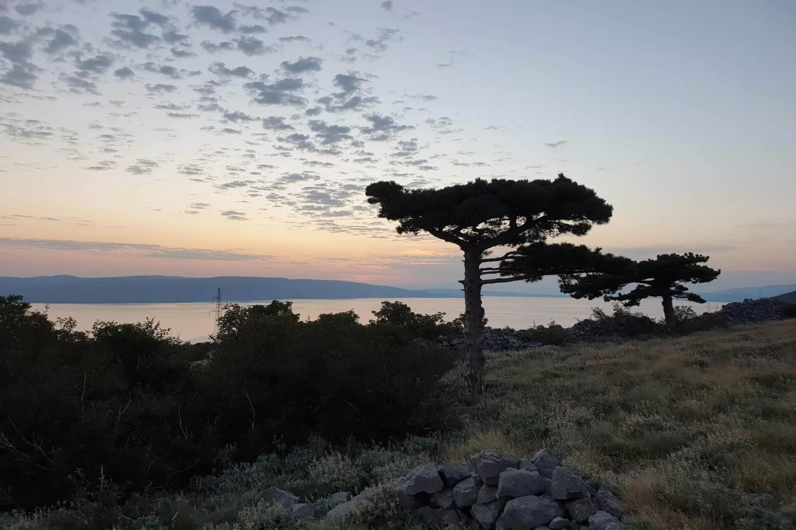 Niko 1-Gebiete Sommer 5 km