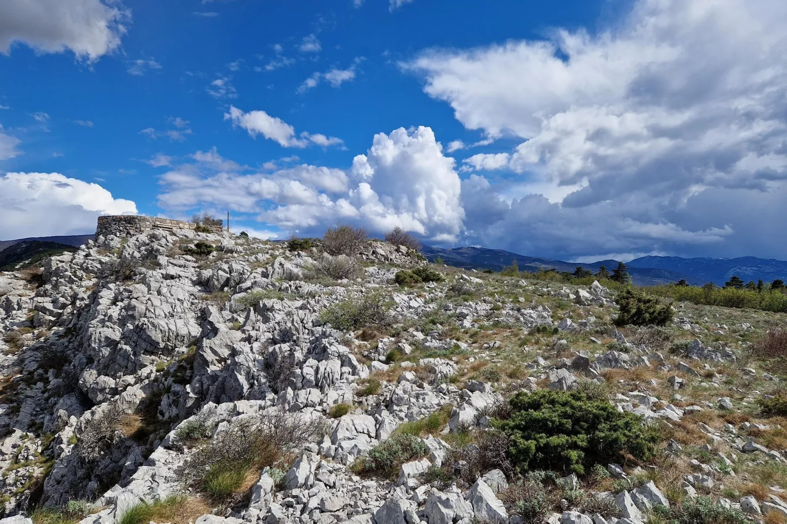 Niko 3-Areas within 5km in summer