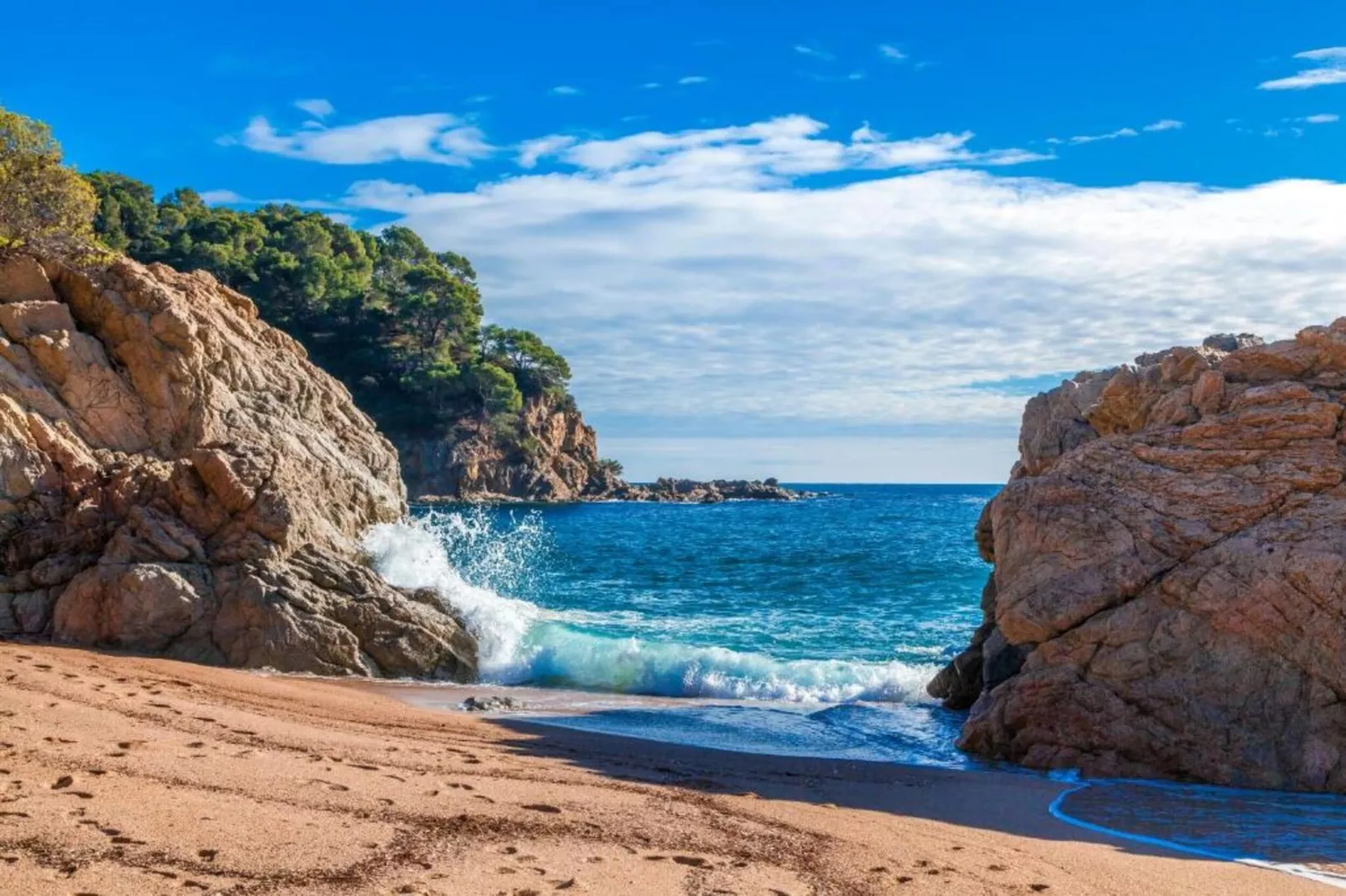 Medas 17-Areas within 5km in summer