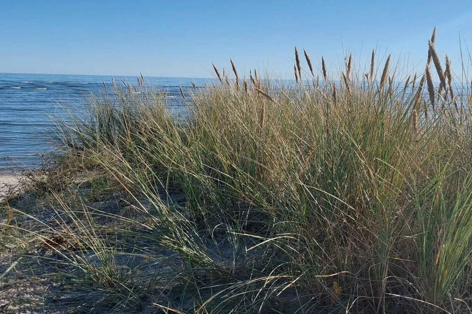 4 star holiday home in Hals-Water view