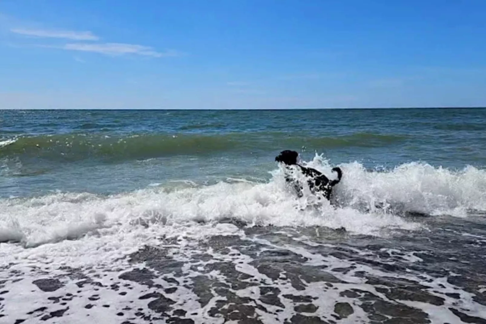 4 Sterne Ferienhaus in Nørre Nebel-Wasserblick