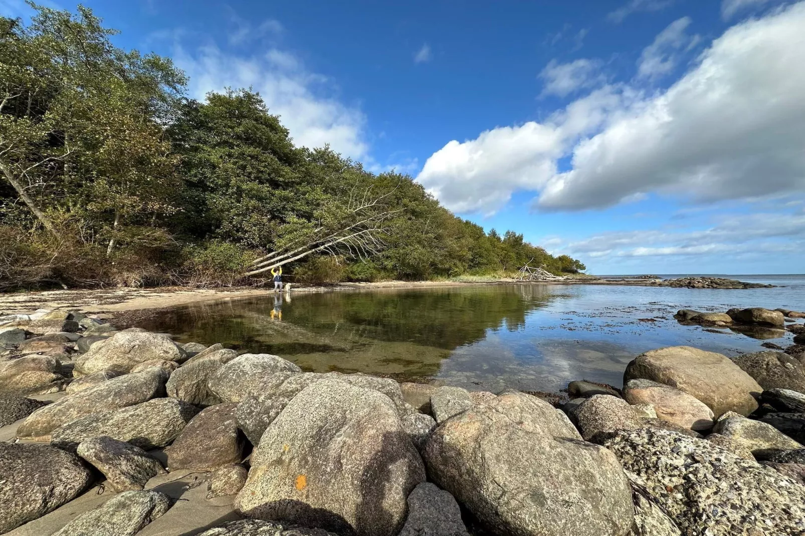 6 person holiday home in Juelsminde-Water view