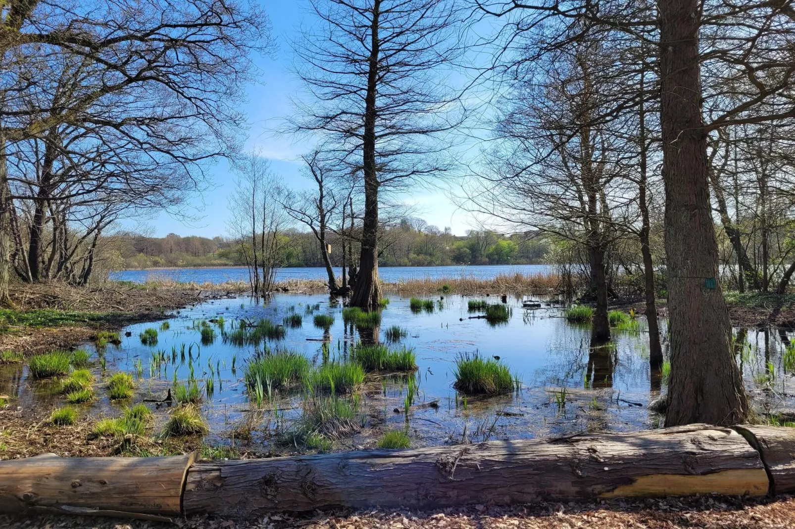 4 etoiles maison de vacances a Vedbæk-Vue sur l'eau