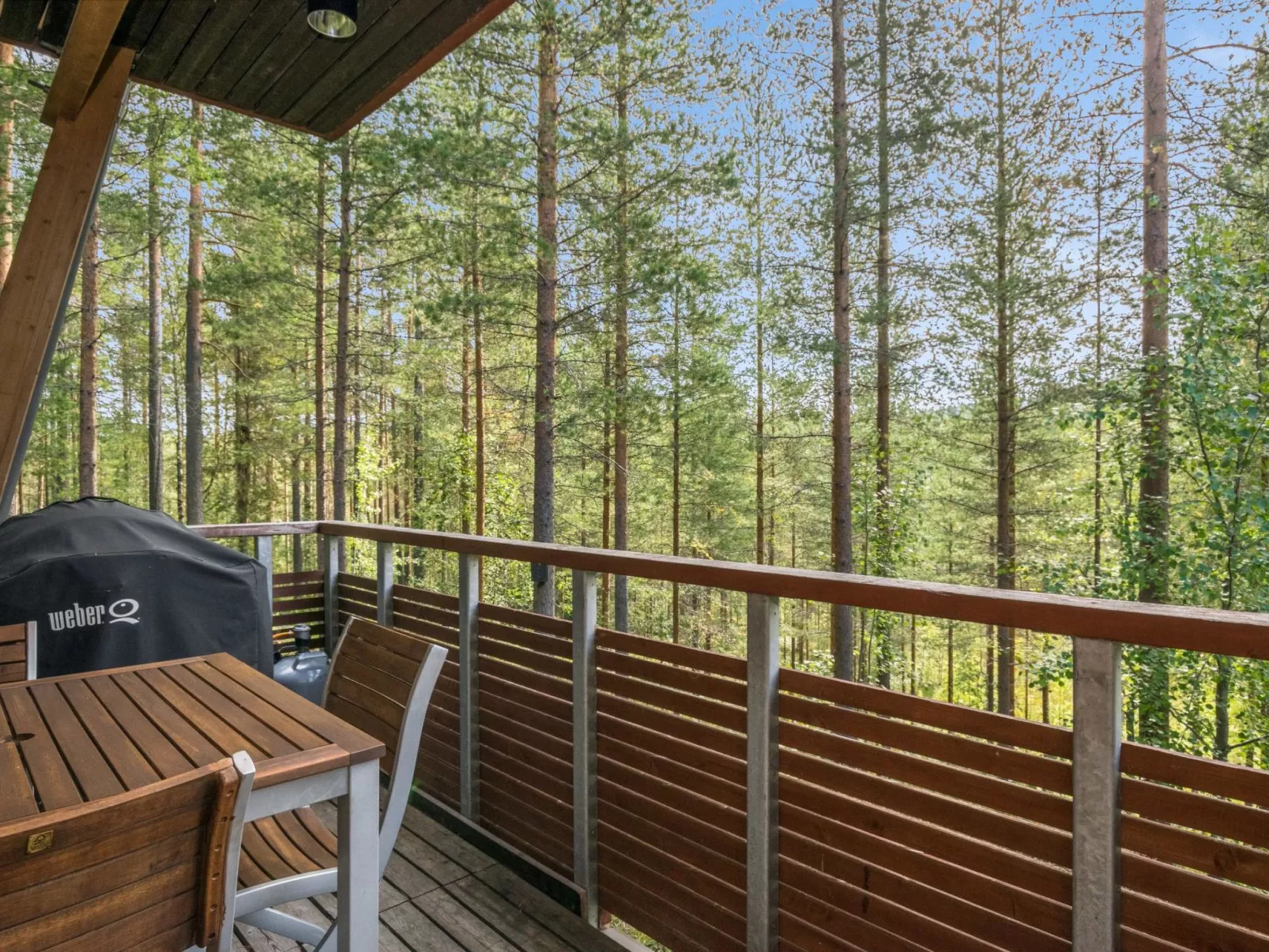 Vuokatti cabin 16-Dedans