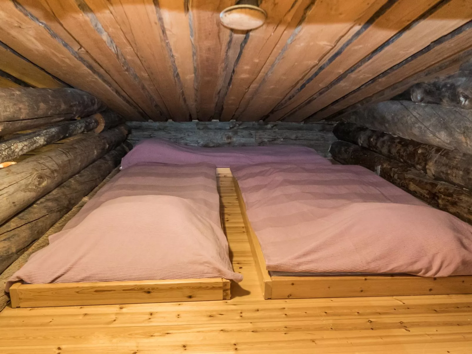 Rukakämmekkä-Dedans