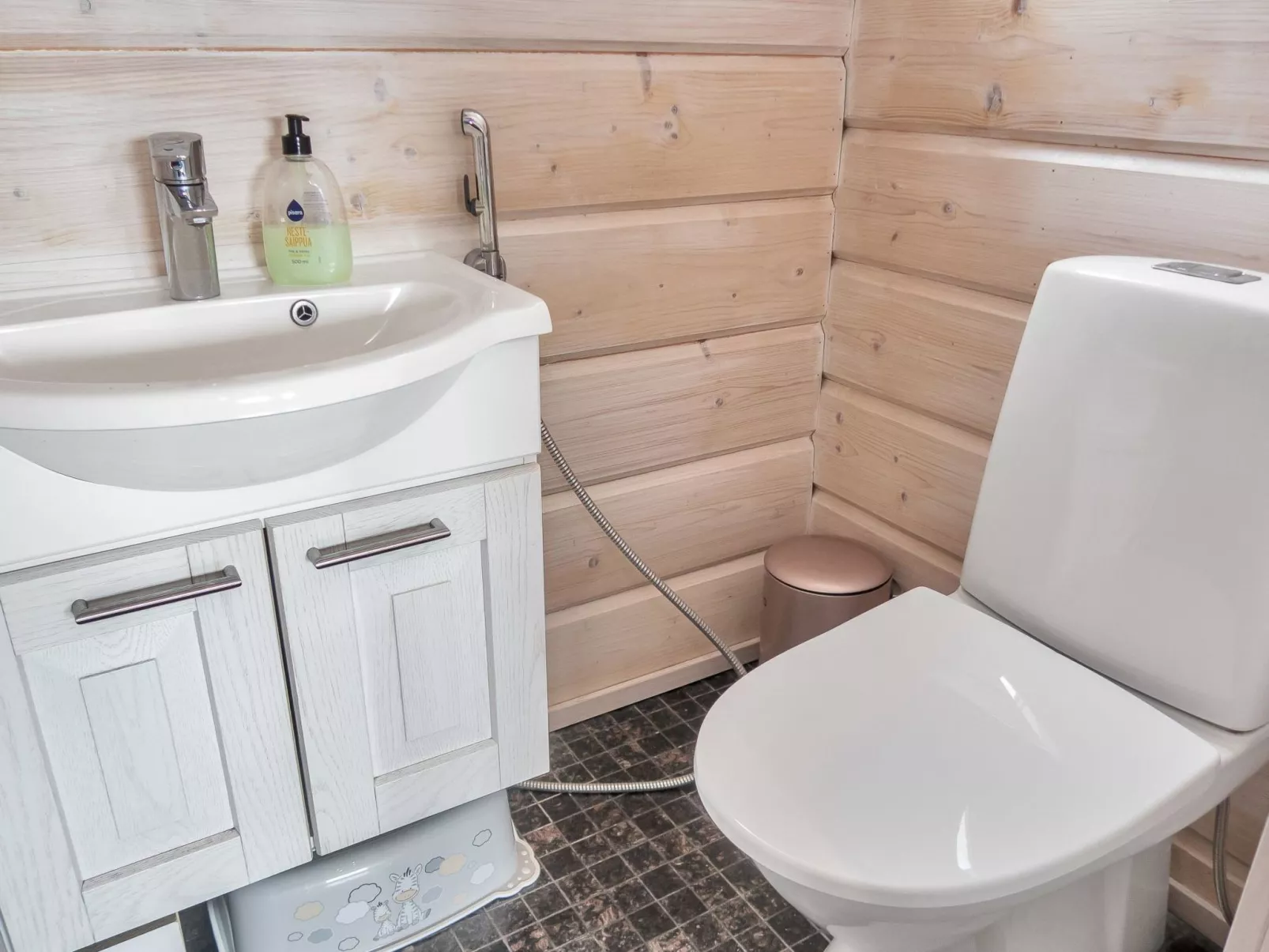 Saaruan aurinko-Dedans