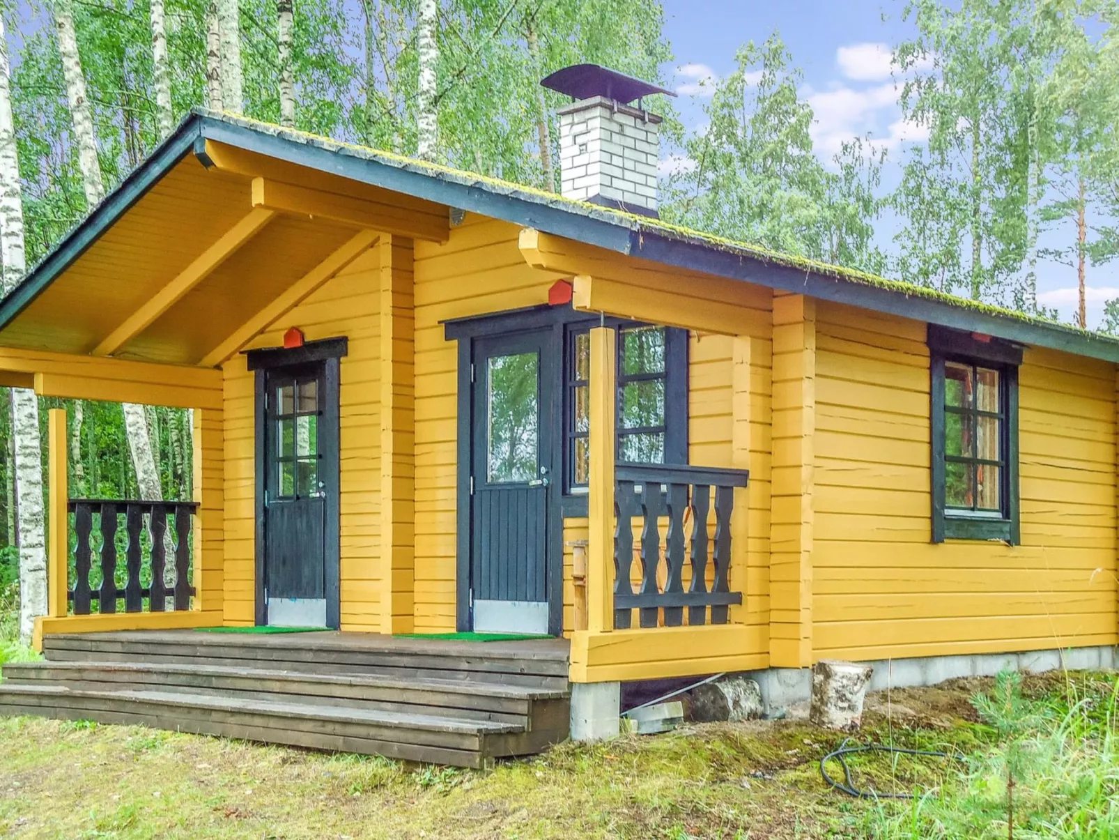 Kolin mesikämmen-Dedans