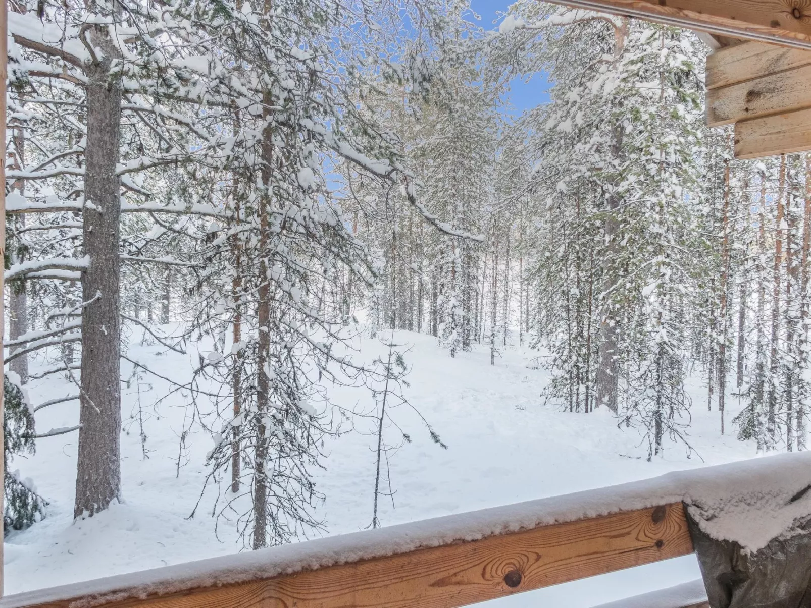 Oivangin siesta-Dedans