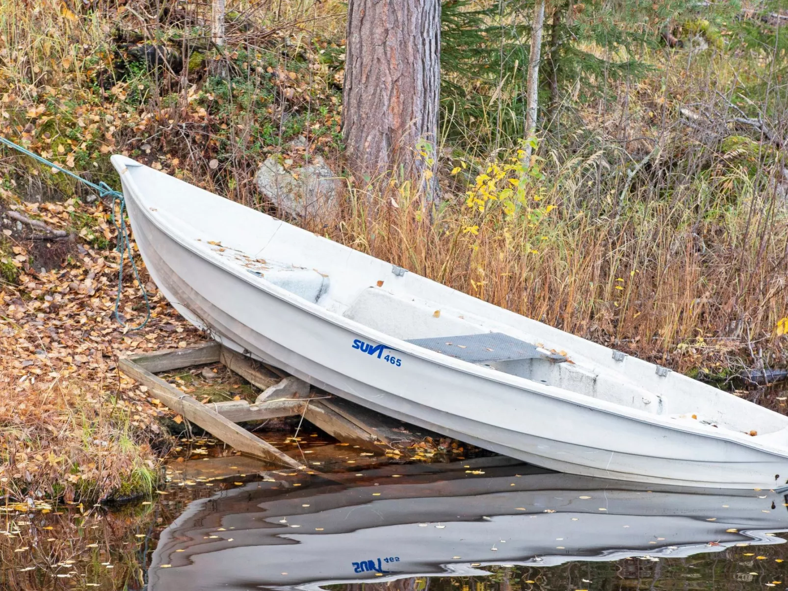 Kelosyväri 17-Dedans