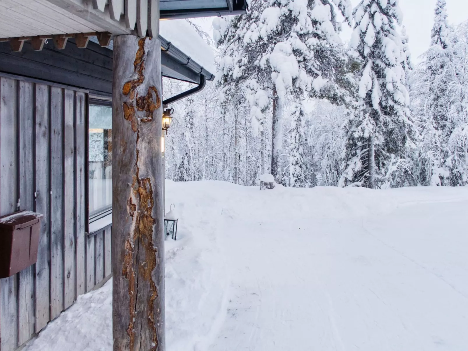 Mustalampi 3 lintukoto-Dedans