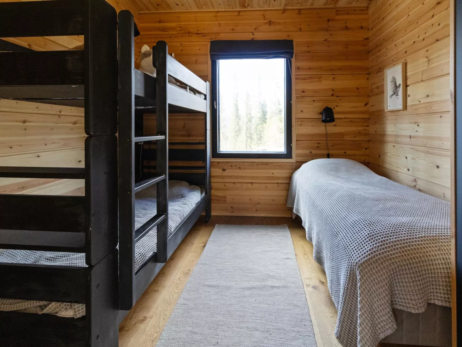 Sallan kuukkeli-Dedans