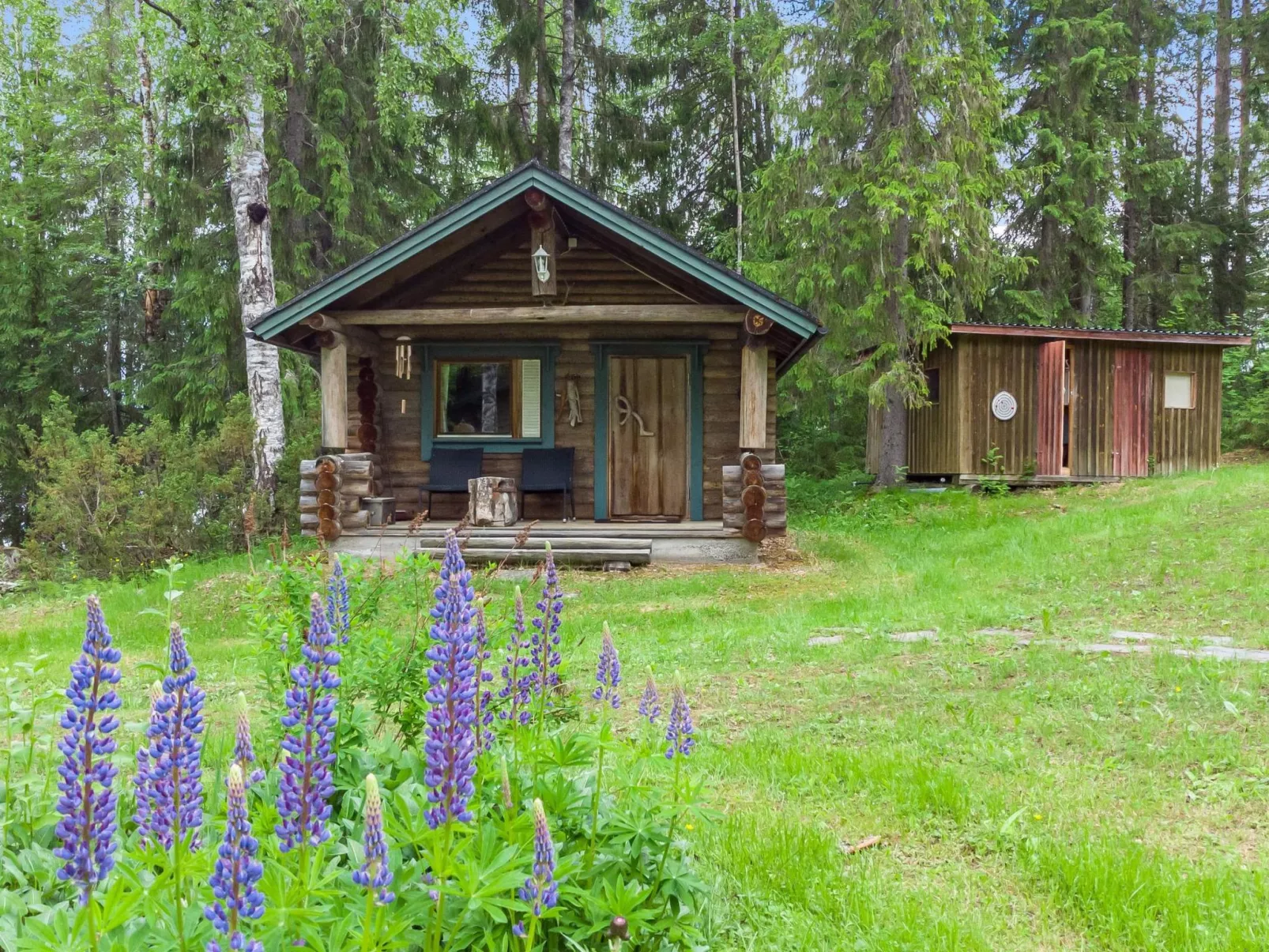 Hietaniemen usko-Dedans