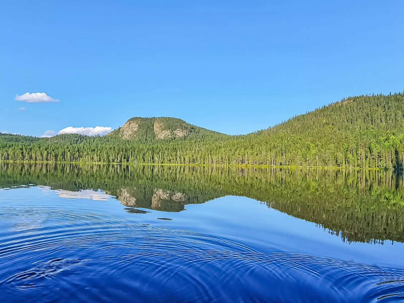 Ruka sinirinta as. 1-Inside