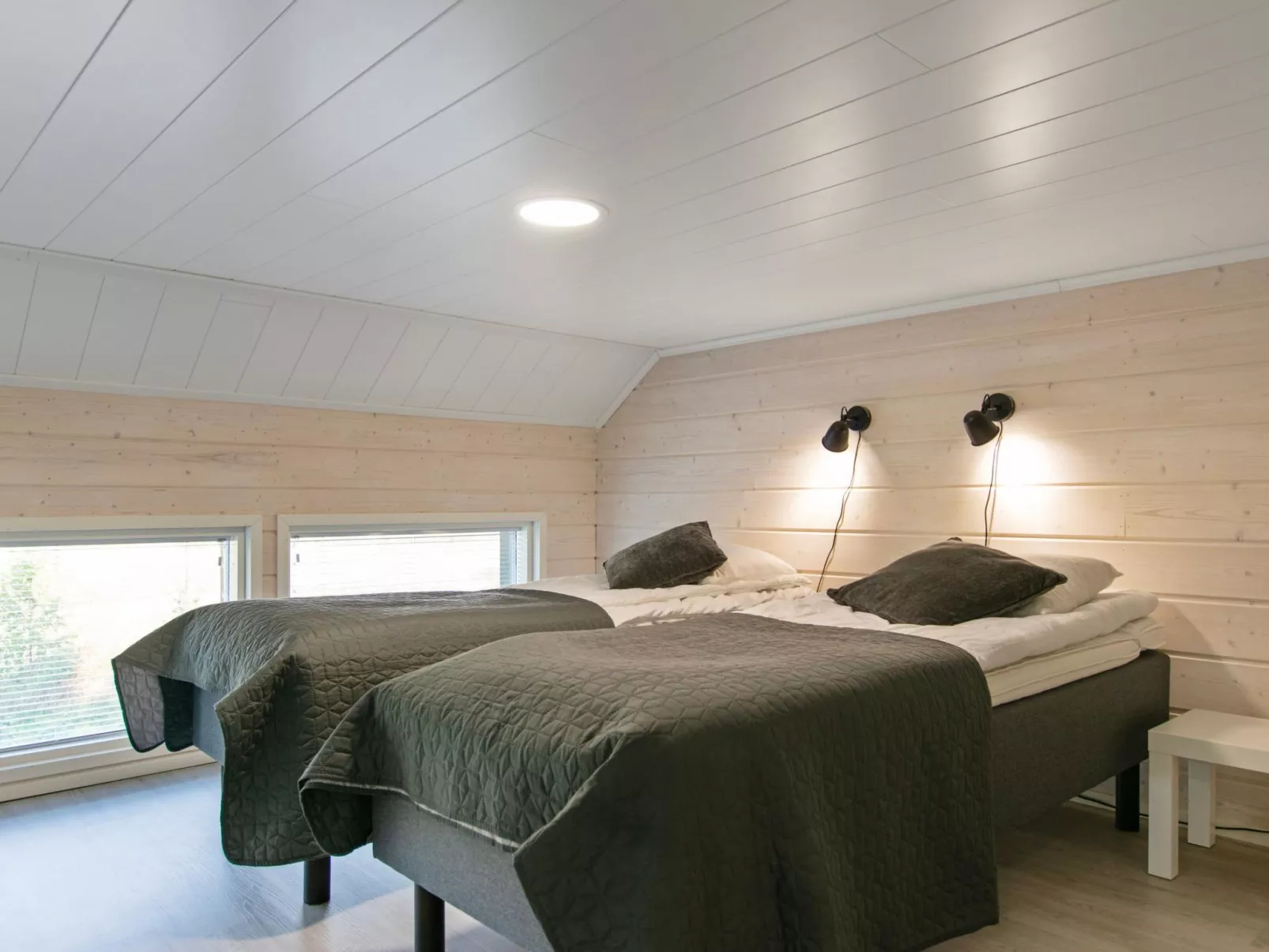 Himos alppinotko 6 a-Dedans