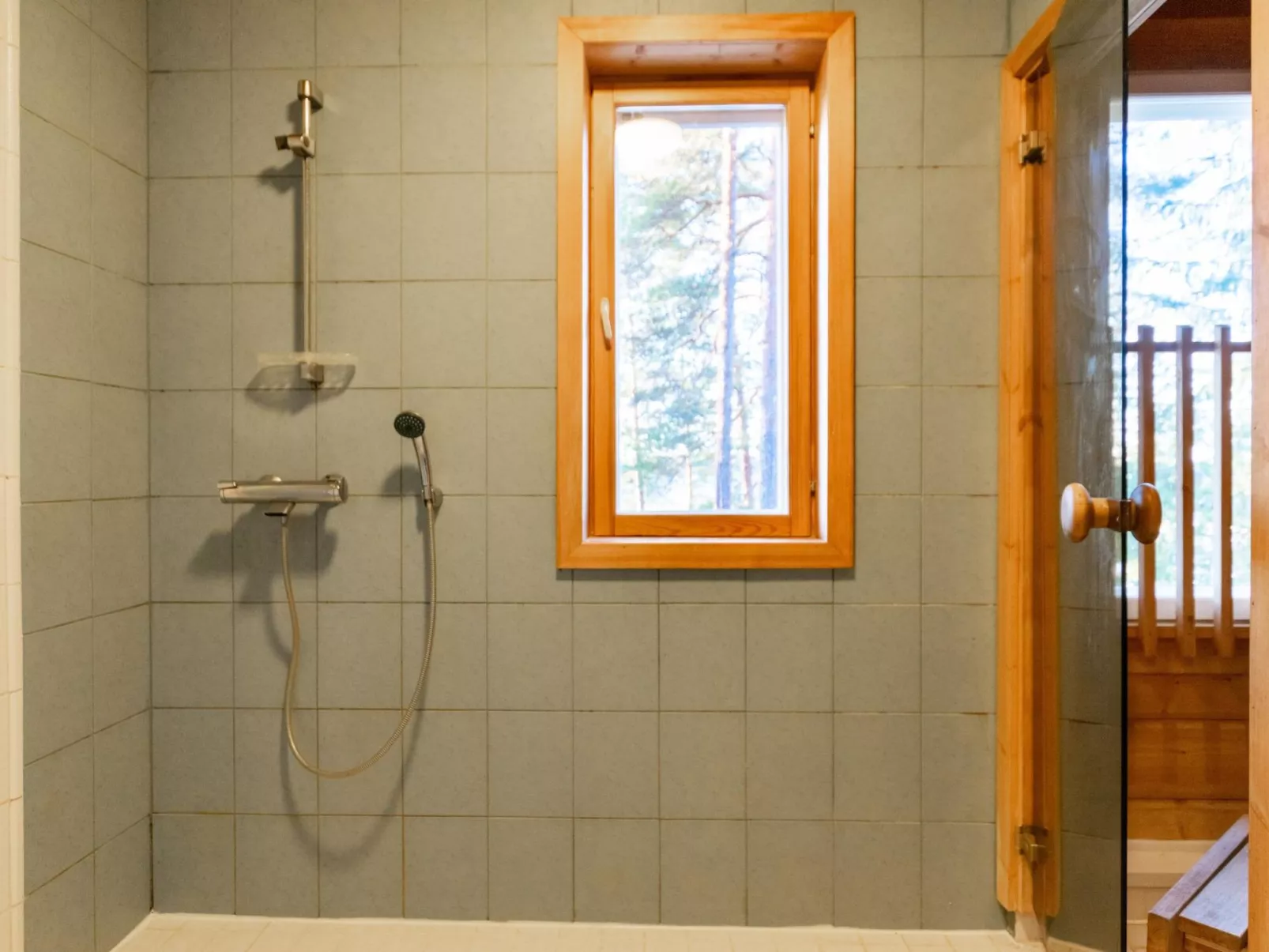 Näsinjoutsen-Dedans