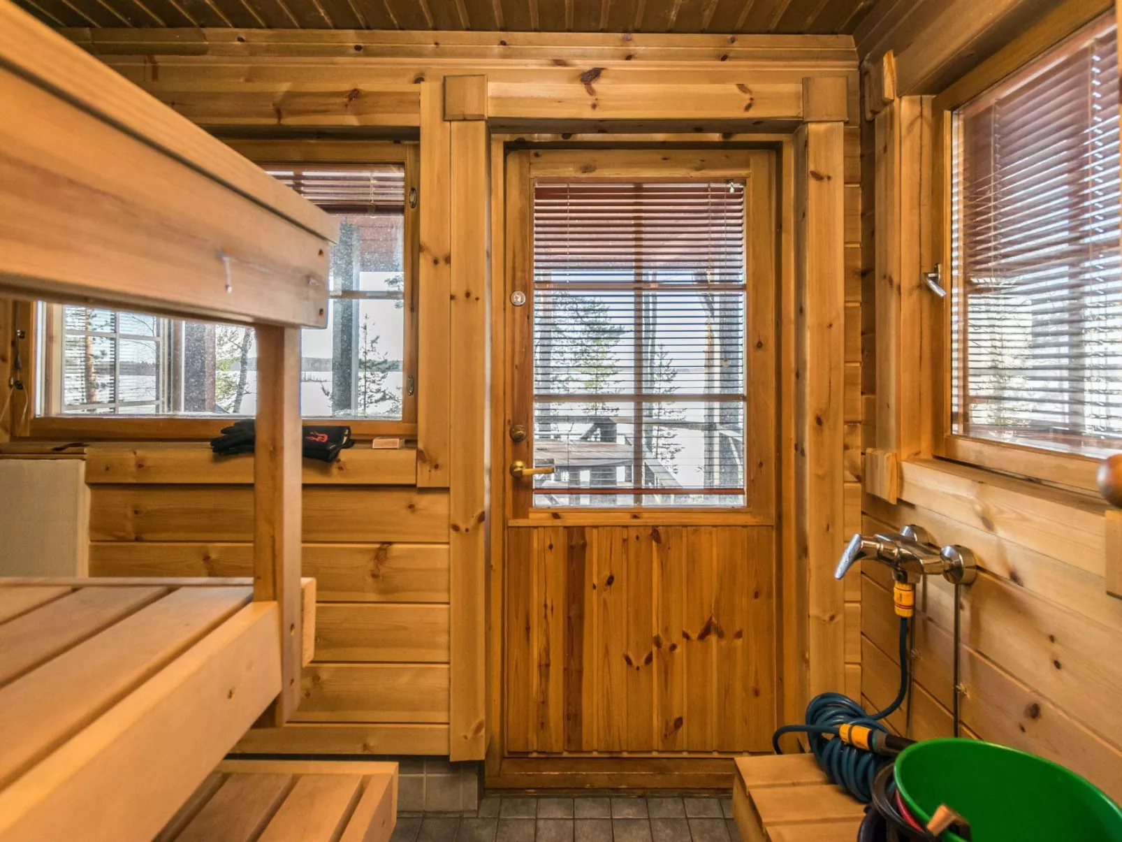 Puolen hehtaarin metsä-Inside