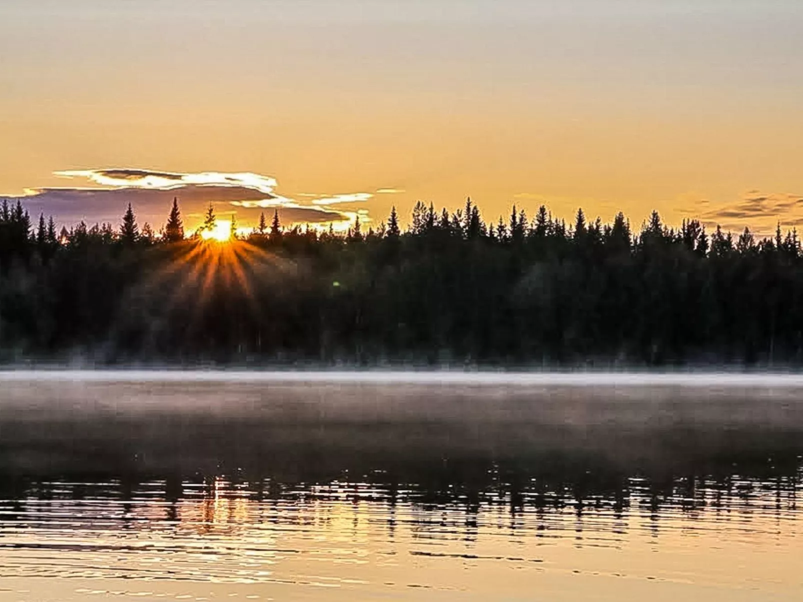 Niemenkärki, vaikon loma 8-Dedans