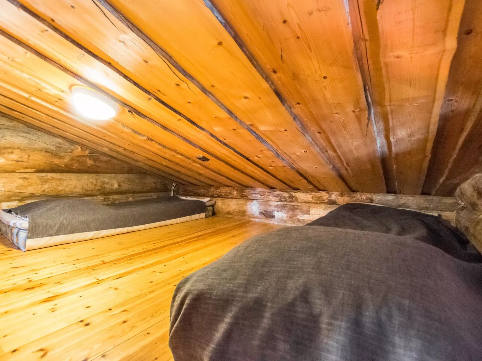 Mustalampi 2 kurkiaura-Dedans