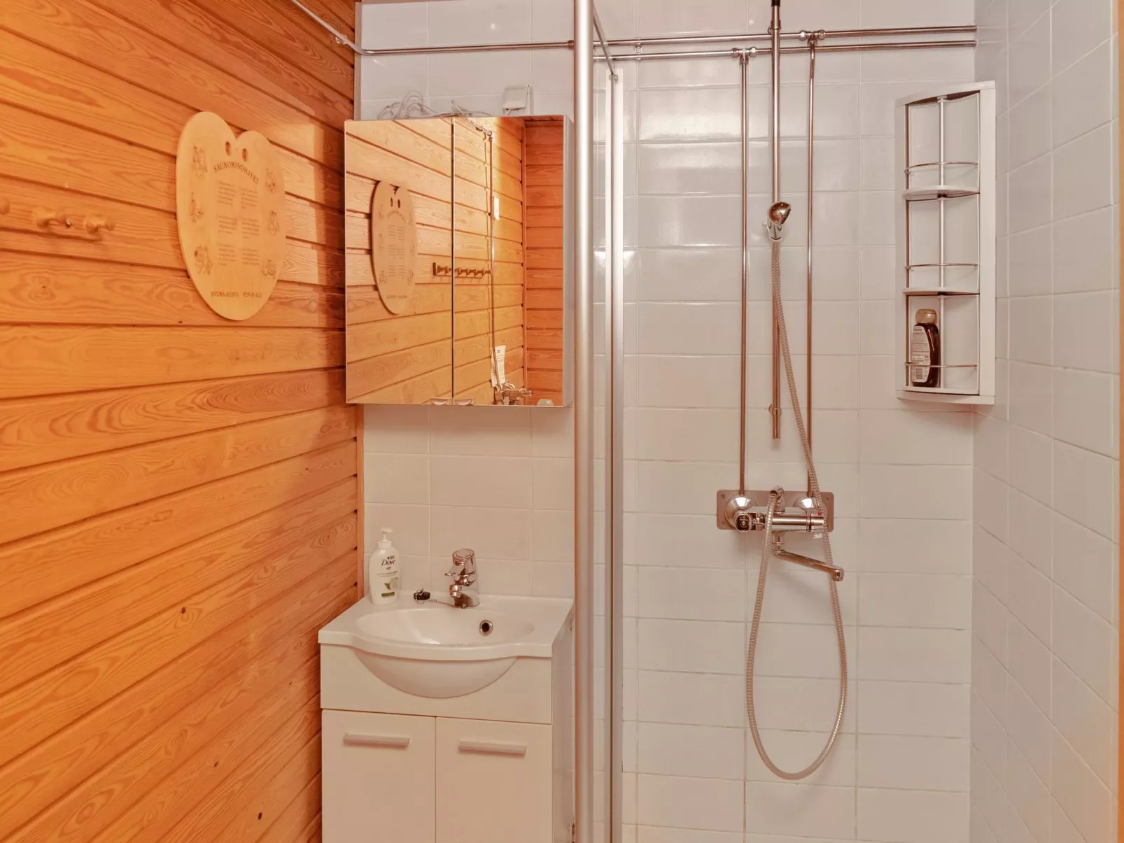 Villihanhi 7b-Dedans