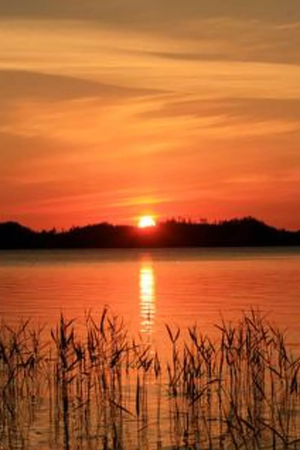 Korvenvalkama-Dedans