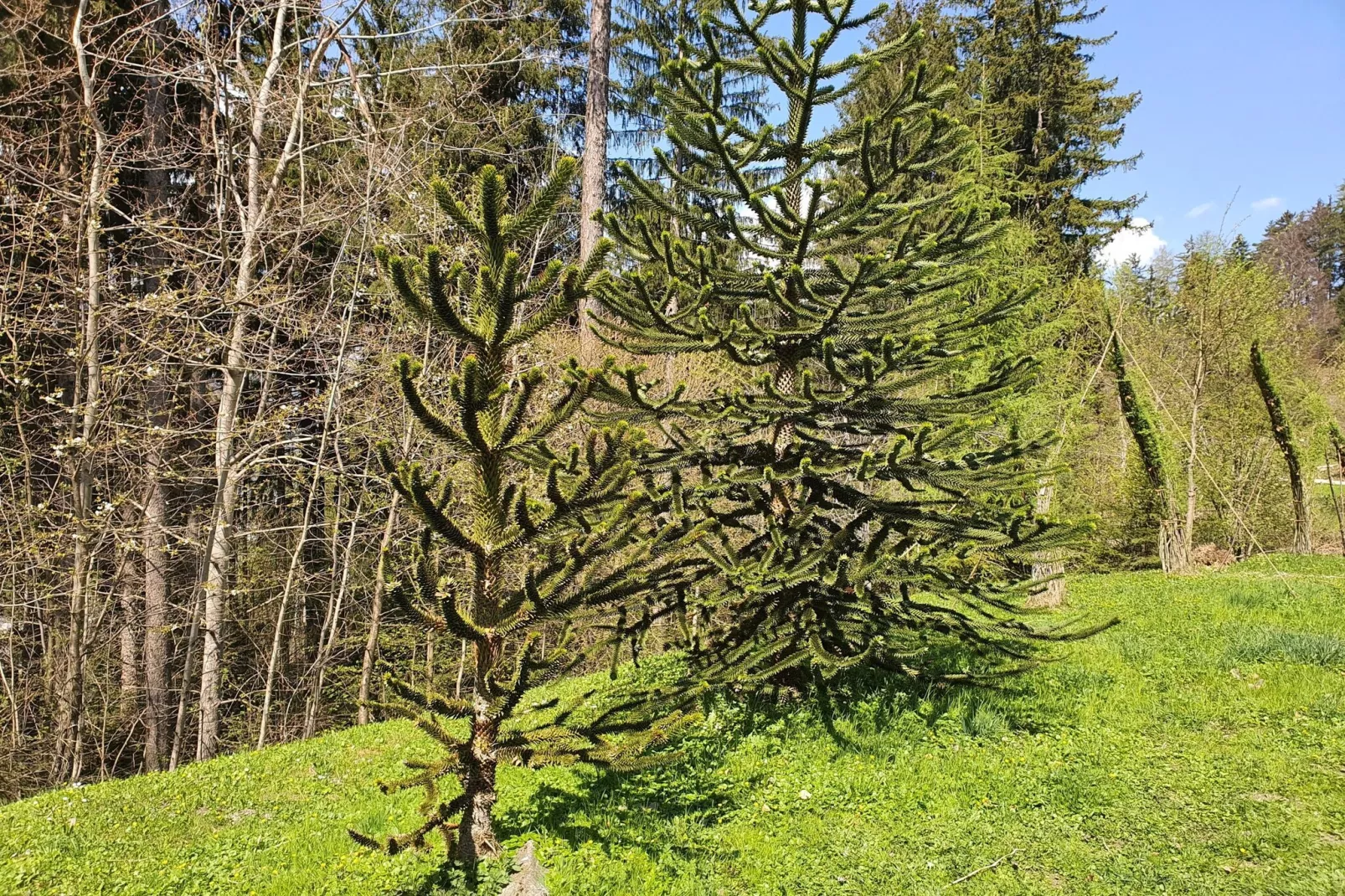 CityApartment Schwaz-Zones été à 5 km