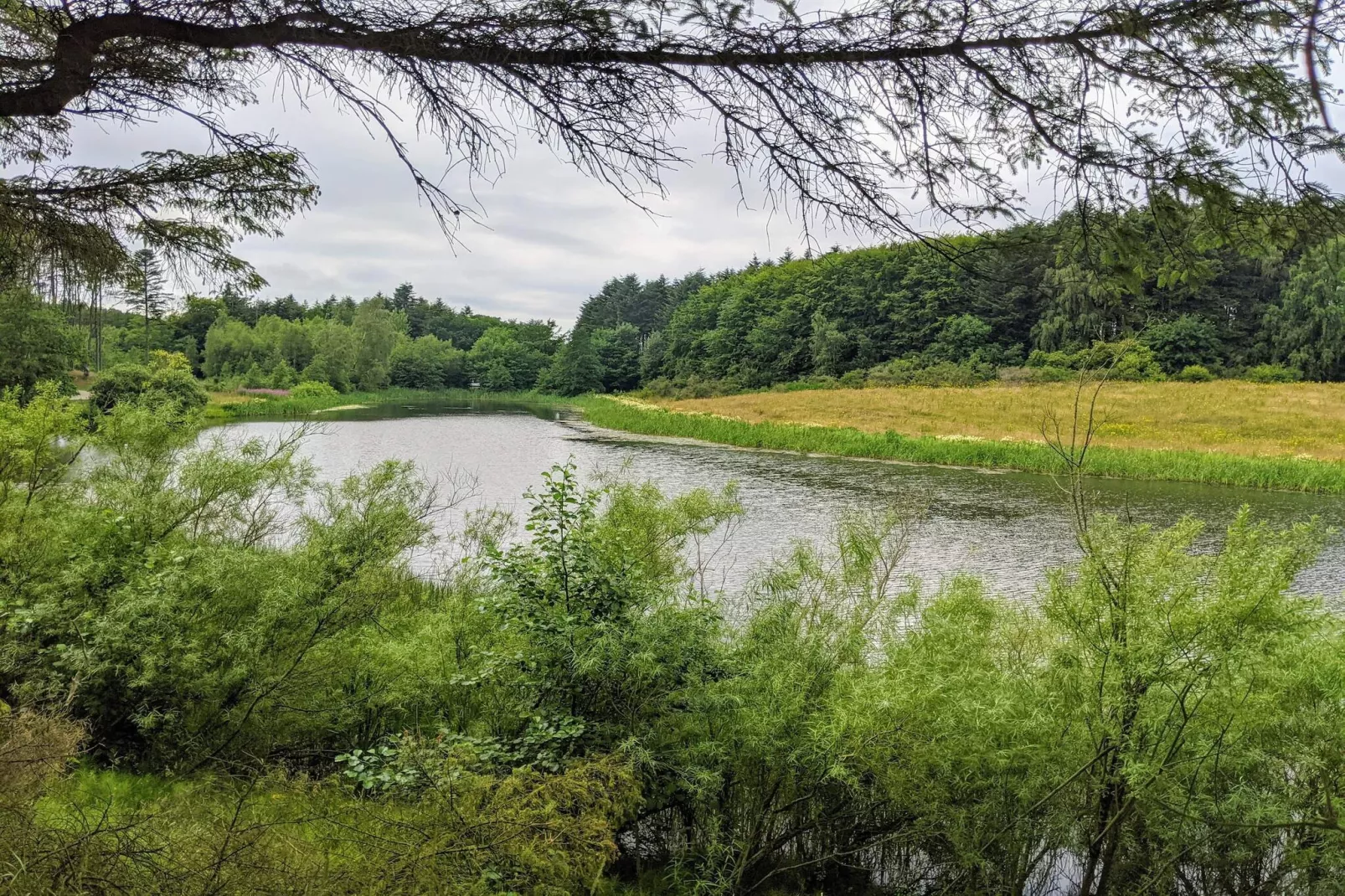 4 etoiles maison de vacances a Brønderslev-Vue sur l'eau