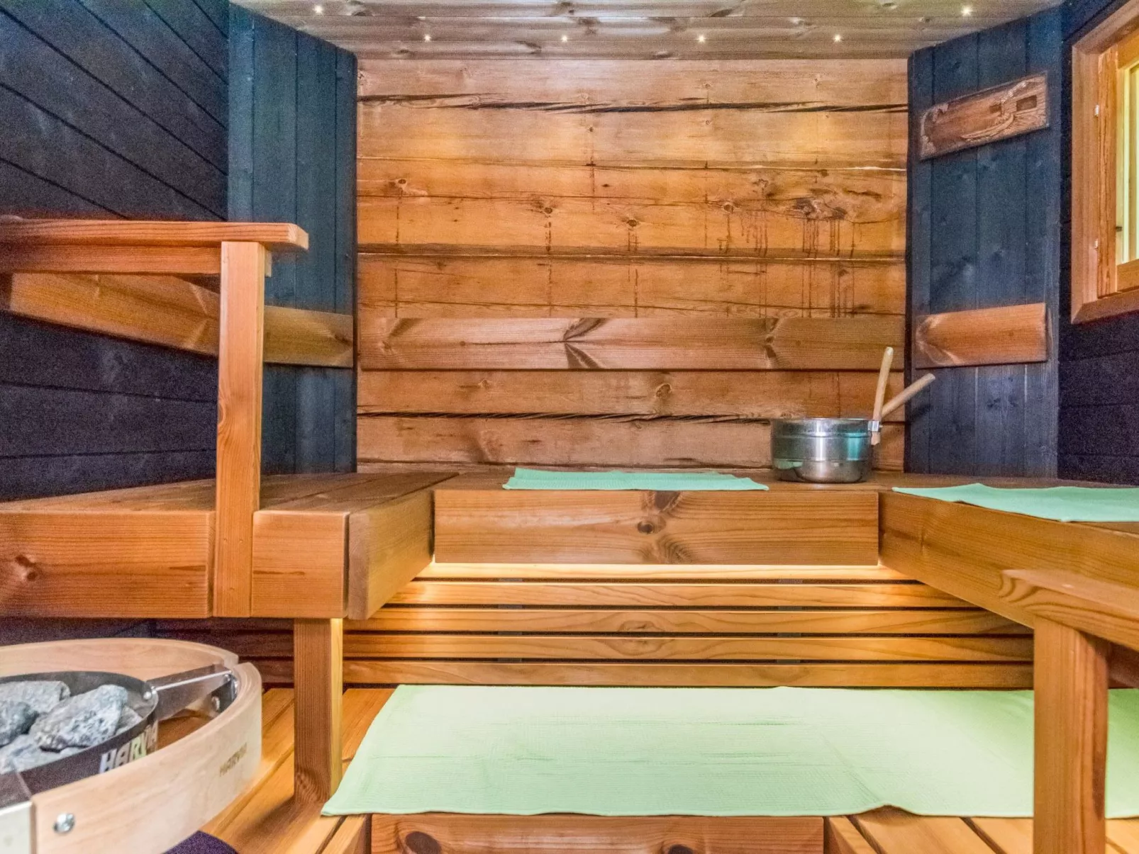 Tervapääsky-Drinnen