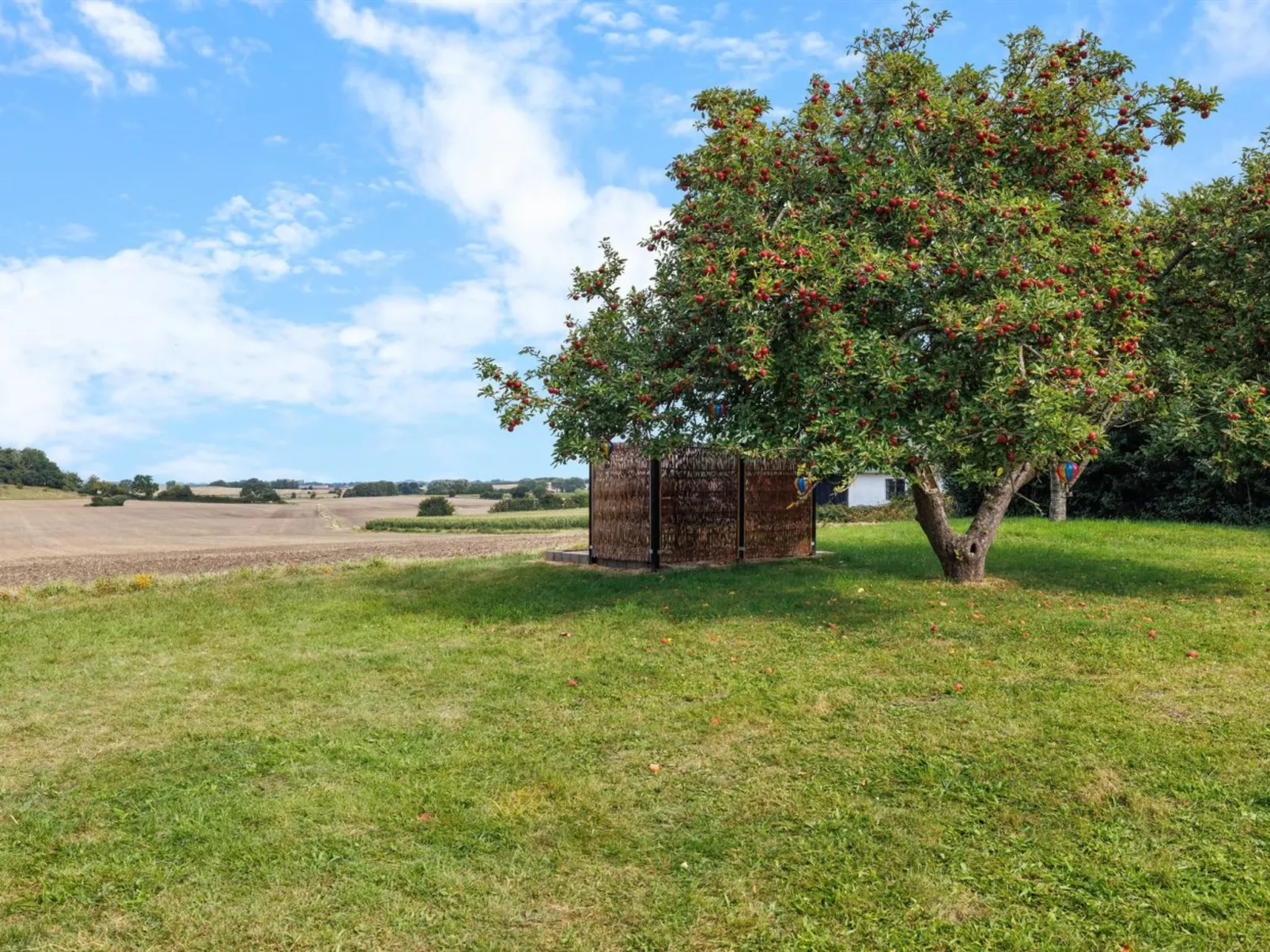 "Alisa" - 2.5km from the sea-Draußen