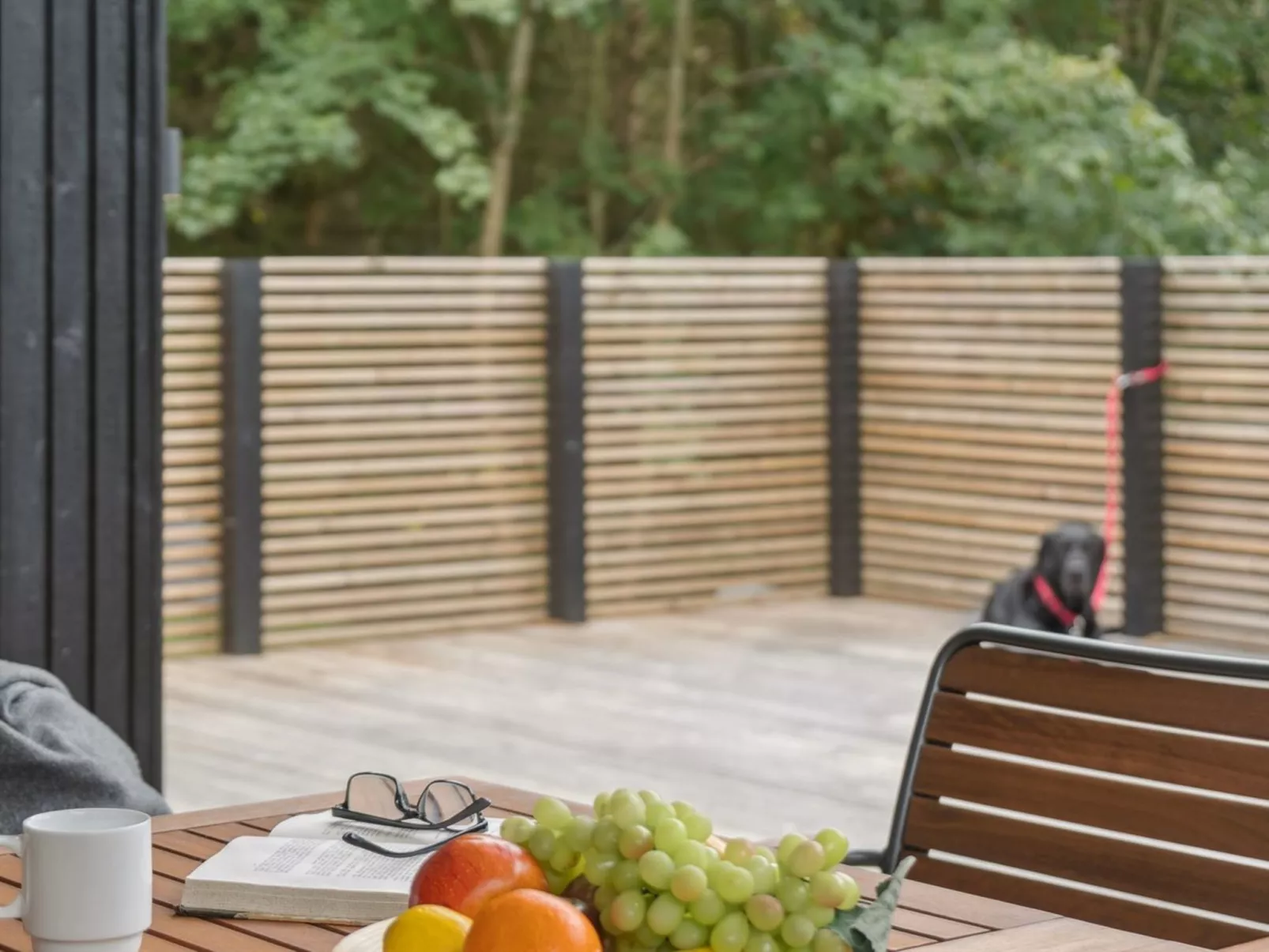 "Aggi" - 850m from the sea-Outside