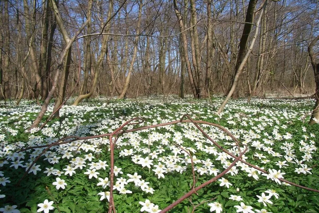 333516-Nicht zugeordnet