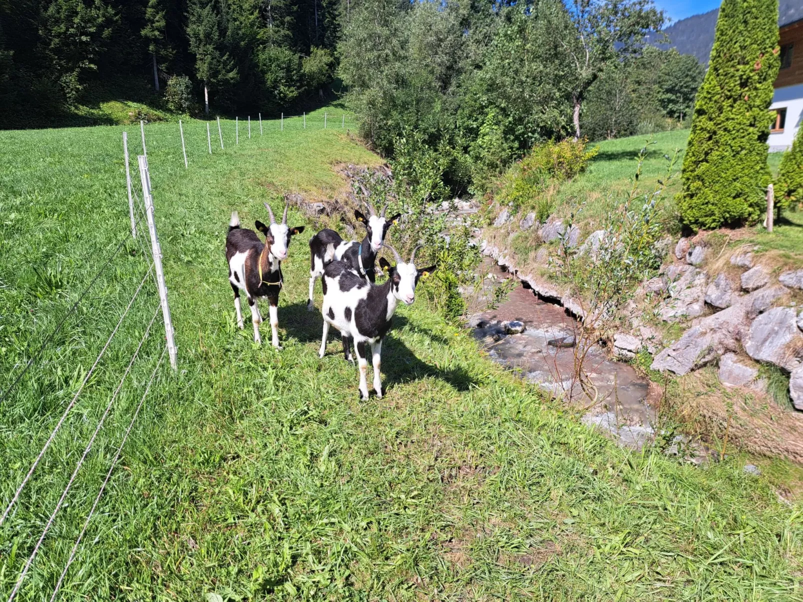Jagerstüberl-60qm EG mit gr Terrasse-Dehors