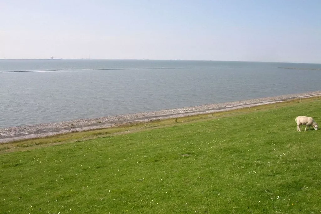 10561-Nicht zugeordnet