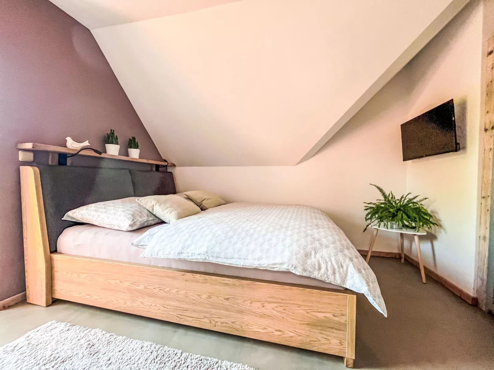 Sachrův Kopec-Dedans