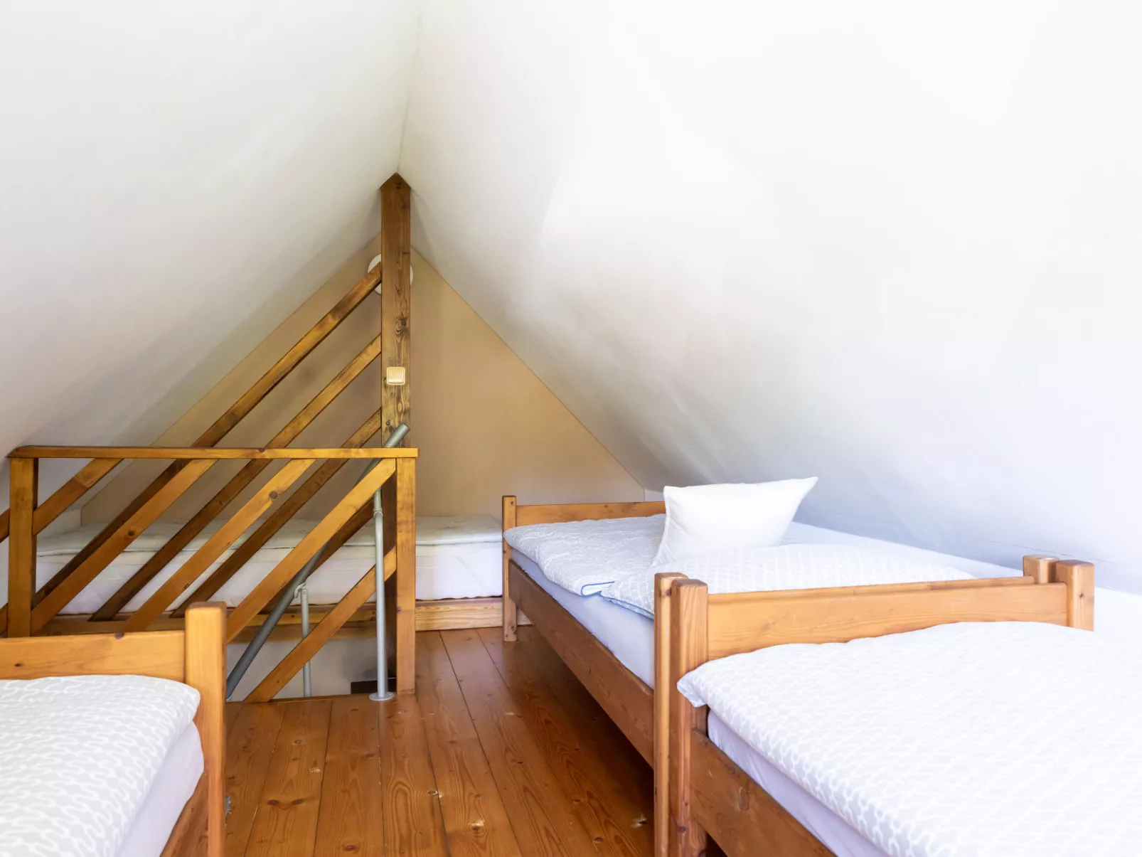 Sachrův Kopec-Dedans