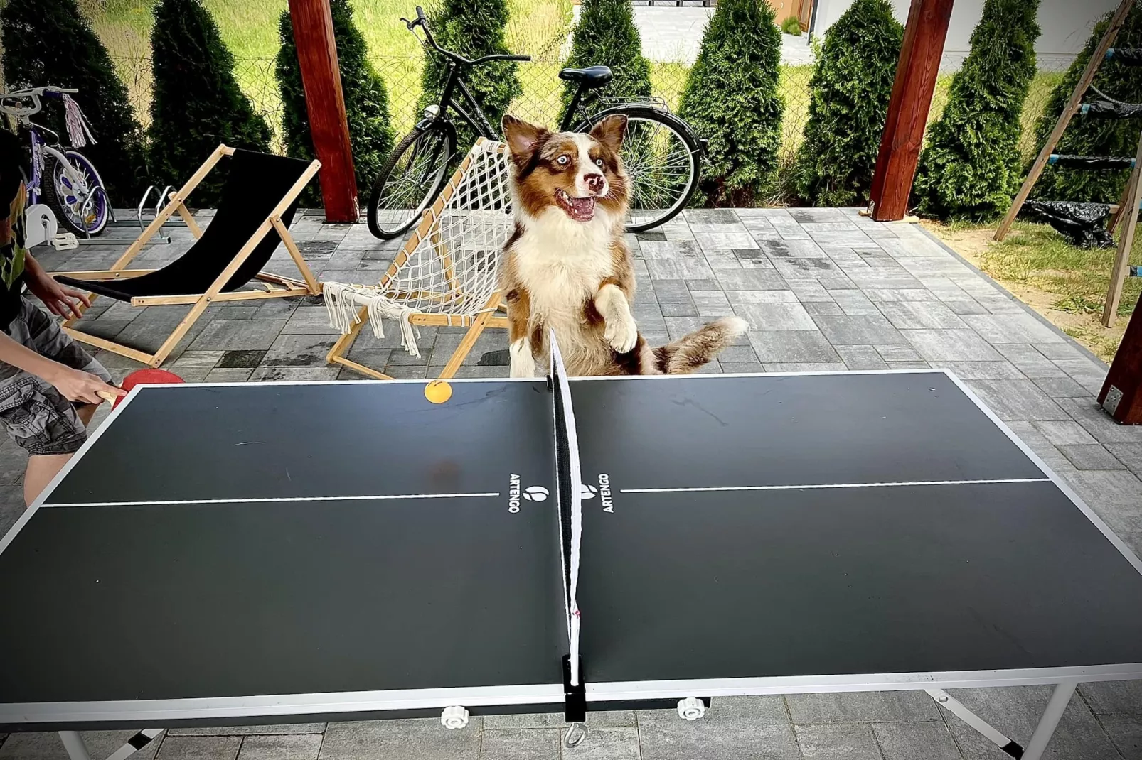 Domki wakacyjne dla 8 osób w Mielenku-Park facilities