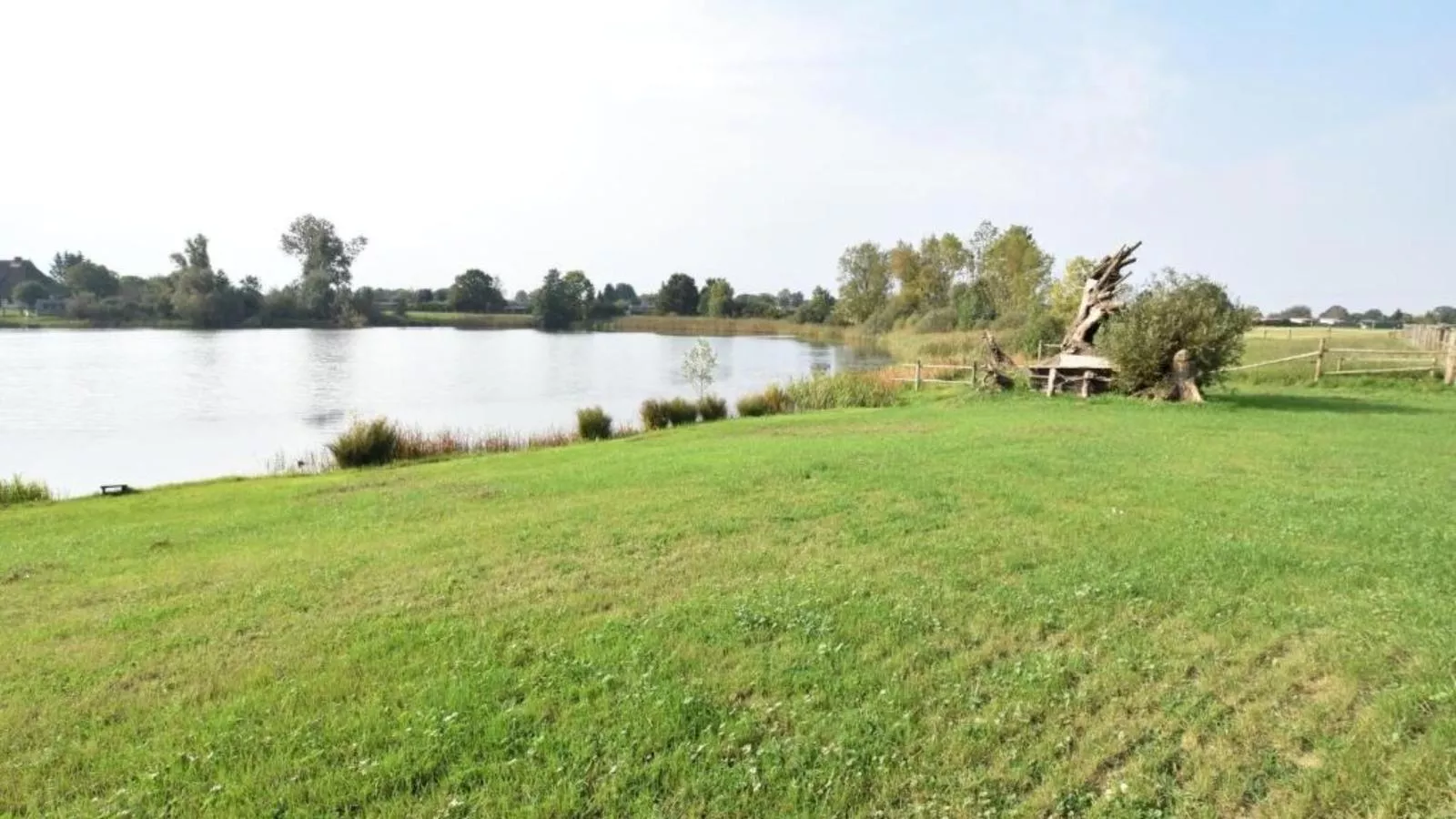 Am Triensee-Garten Sommer