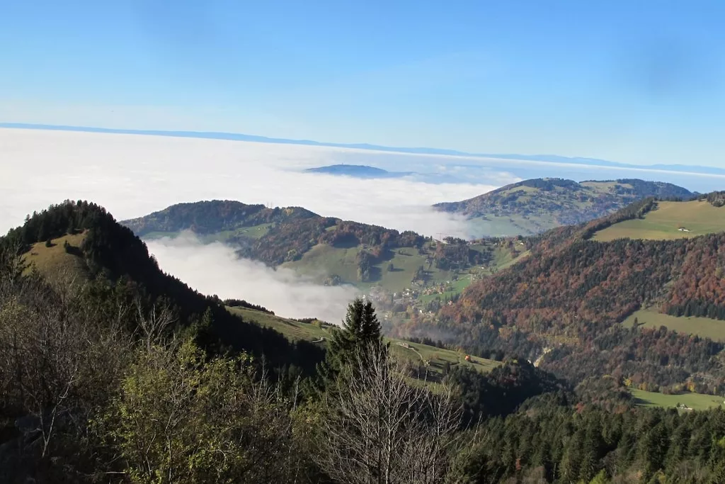 194679-Nicht zugeordnet