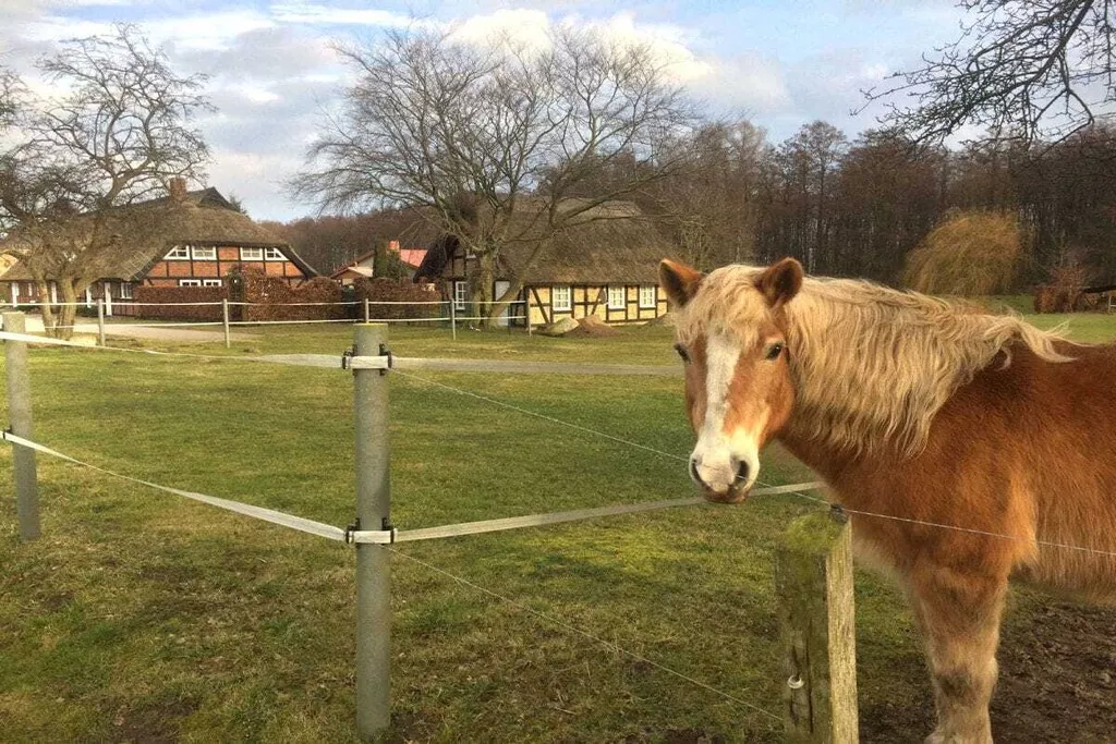 188621-Nicht zugeordnet