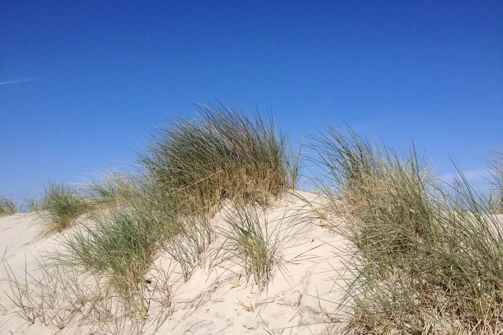 143865-Nicht zugeordnet